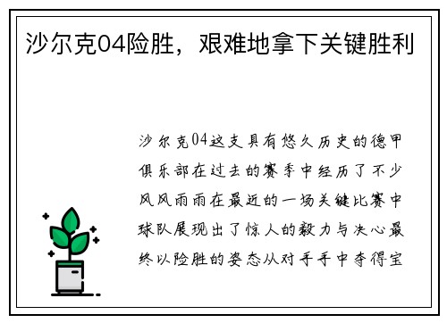 沙尔克04险胜，艰难地拿下关键胜利