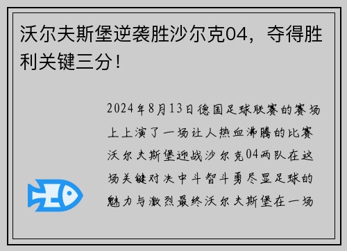 沃尔夫斯堡逆袭胜沙尔克04，夺得胜利关键三分！